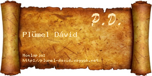Plümel Dávid névjegykártya