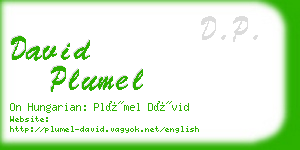 david plumel business card